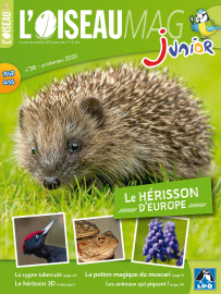 Couverture de l'OISEAU MAG JUNIOR n°38